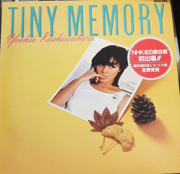 Master Release: Tiny Memory by Yoshie Kashiwabara