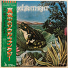 Enchantment - Enchantment (Vinyl, LP, Album, Promo, Stereo) Very Good (VG) / Very Good (VG)