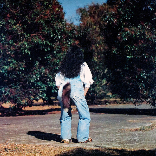 Release: ごはんができたよ = Gohan Ga Dekitayo-Vinyl-Japan-1980-JAL 1001-2-10958755