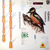 Miloslav Kabeláč - 8 Inventions = 8つのインヴェンション (Vinyl, LP, Stereo) Very Good Plus (VG+) / Very Good Plus (VG+)