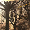 The Walter Norris Trio - A Child is Born (Vinyl, LP, Album) Very Good Plus (VG+) / Very Good Plus (VG+)