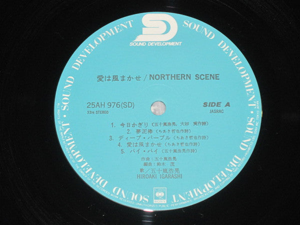 Northern Scene