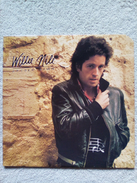 Release: Golden Down-Vinyl-US-1981-AB 4284-18431134