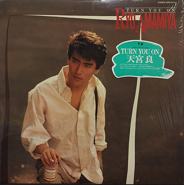 Master Release: Turn You On by Ryo Amamiya (2)