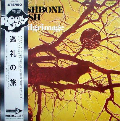 Release: Pilgrimage-Vinyl-Japan-None-MCA-5089-8588376