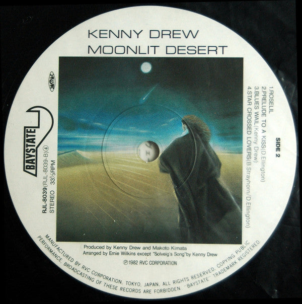 Moonlit Desert