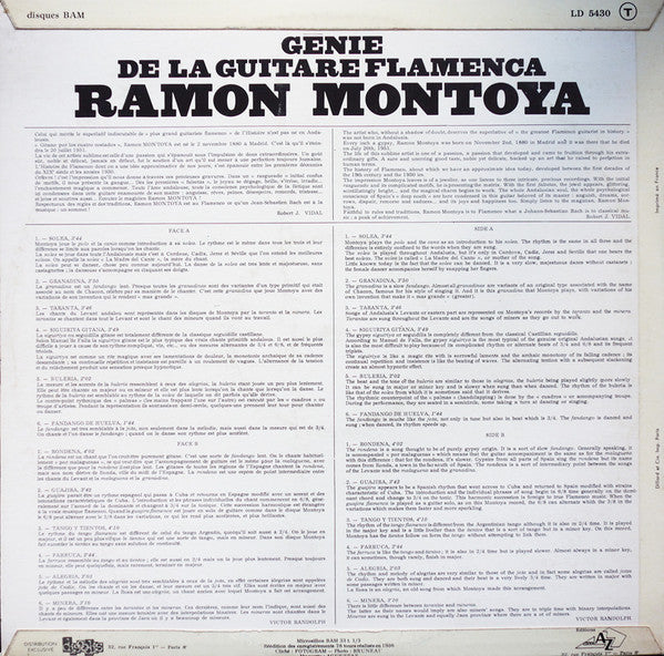 Génie De La Guitare Flamenca