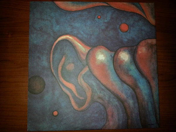In The Court Of The Crimson King (An Observation By King Crimson)