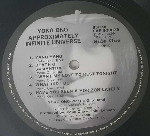 Approximately Infinite Universe