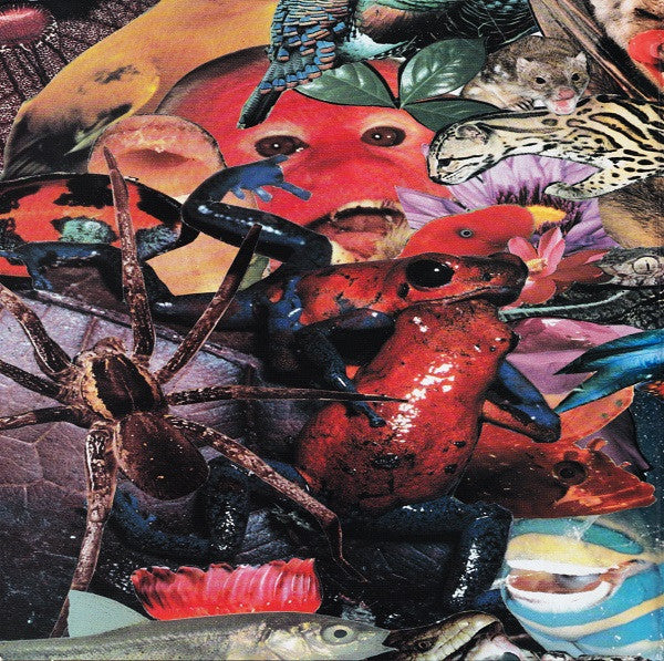 Master Release: Superunknown by Soundgarden