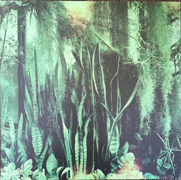 Master Release: Wood/Water by The Promise Ring
