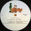 Black Box - Fantasy (Vinyl, 12