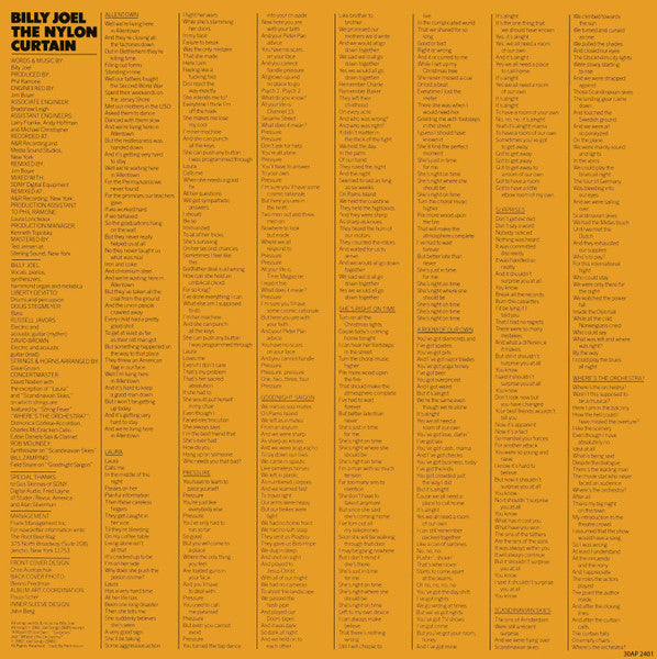 The Nylon Curtain