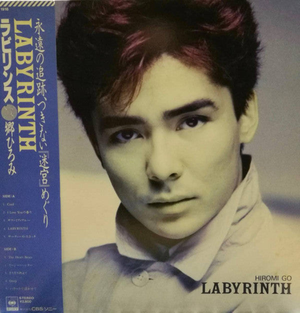 Master Release: Labyrinth = ラビリンス by Hiromi Go