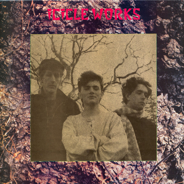 Release: The Icicle Works-Vinyl-US-1984-AL 6-8202-1070043