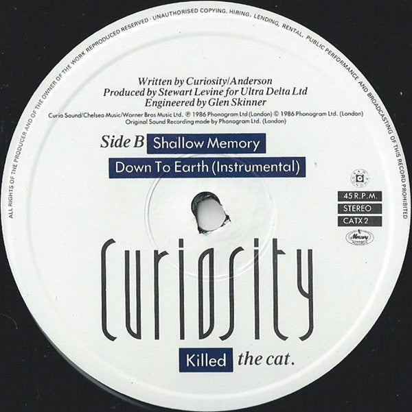 Down To Earth (Extended Mix)
