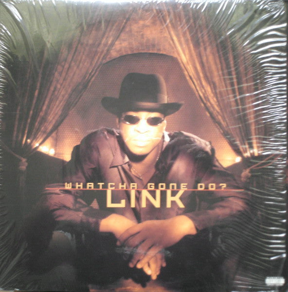 Master Release: Whatcha Gone Do? by Link (3)