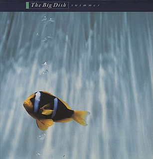 Master Release: Swimmer by The Big Dish