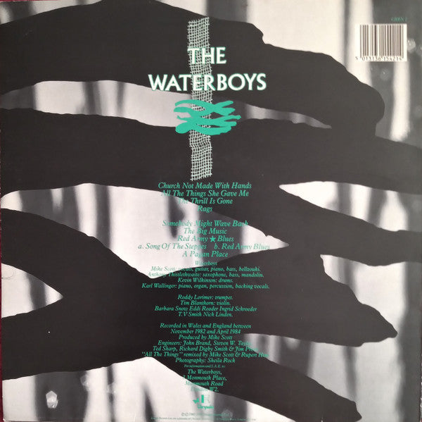 Master Release: A Pagan Place by The Waterboys