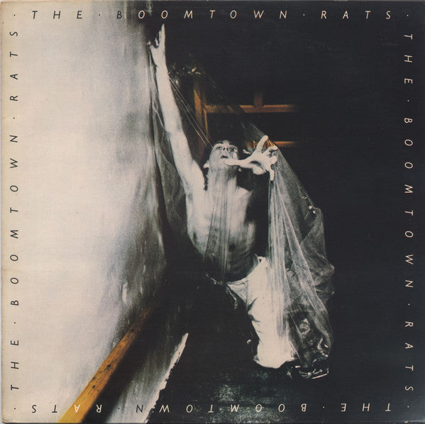 Release: The Boomtown Rats-Vinyl-UK-1977-ENVY 1, 9102 800-14393927