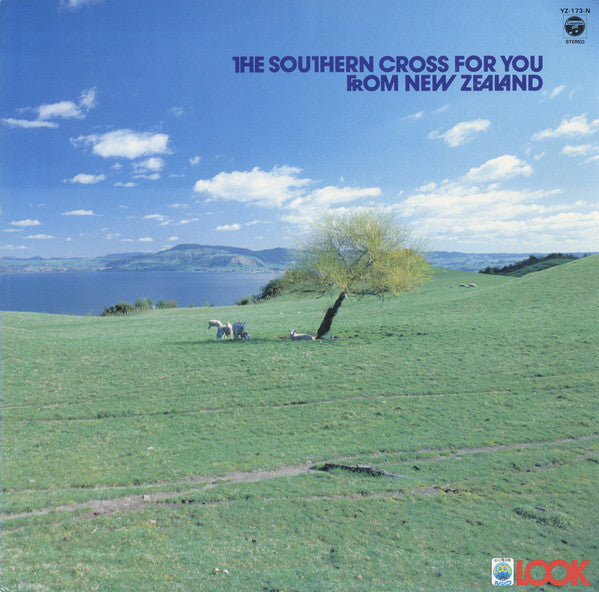 The Southern Cross For You From New Zealand