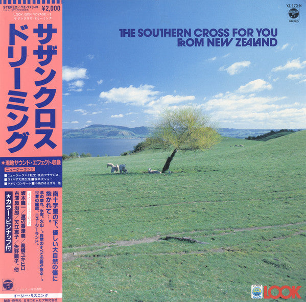 Release: Unknown Release-Vinyl-Japan-1983-YZ-173-N-12171570