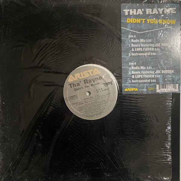 Master Release: Didn't You Know by Tha' Rayne