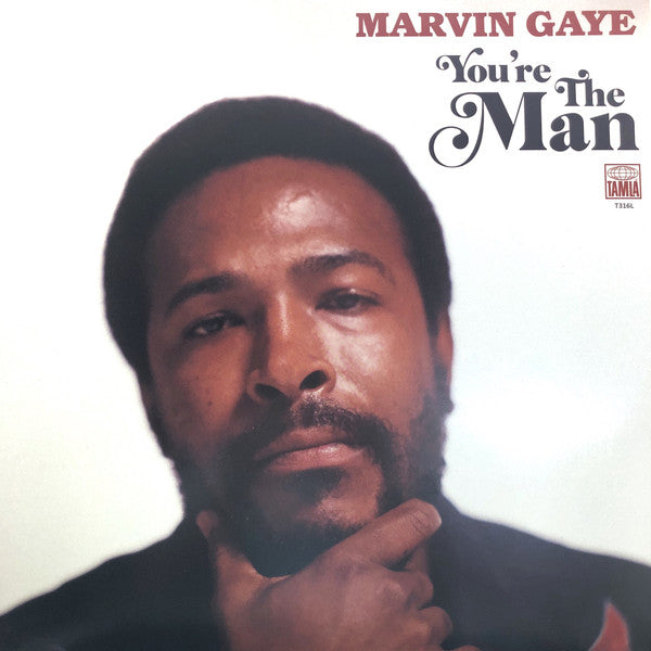 Master Release: You're The Man by Marvin Gaye