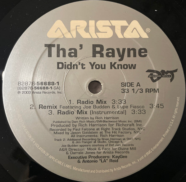 Master Release: Didn't You Know by Tha' Rayne