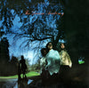 The Dream Academy - The Dream Academy (Vinyl, LP, Album, Stereo) Very Good Plus (VG+) / Very Good (VG)
