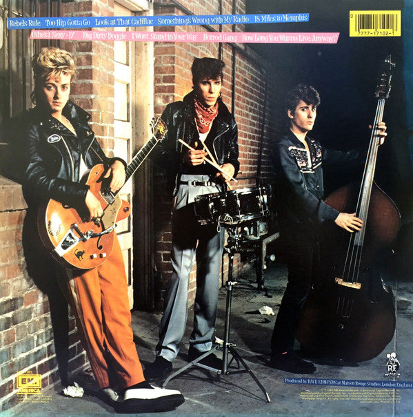 Rant N' Rave With The Stray Cats