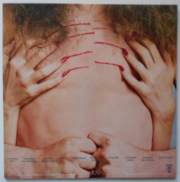 Release: Cat Scratch Fever-Vinyl-Japan-1979-25·3P-64-5553087