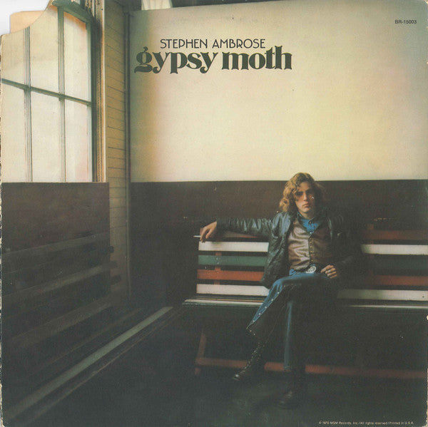 Gypsy Moth