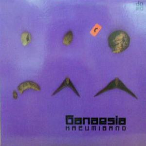Release: Ganaesia-Vinyl-Japan-1982-AW-28002-4951693