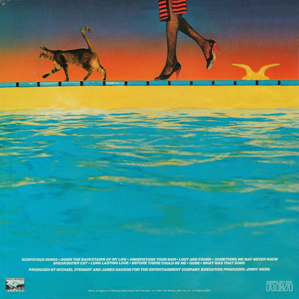 Master Release: Breakwater Cat by Thelma Houston