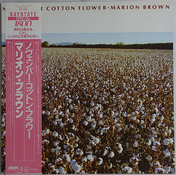 November Cotton Flower