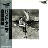 Katsutoshi Morizono - Bad Anima (Vinyl, LP, Album) Near Mint (NM or M-) / Very Good Plus (VG+)