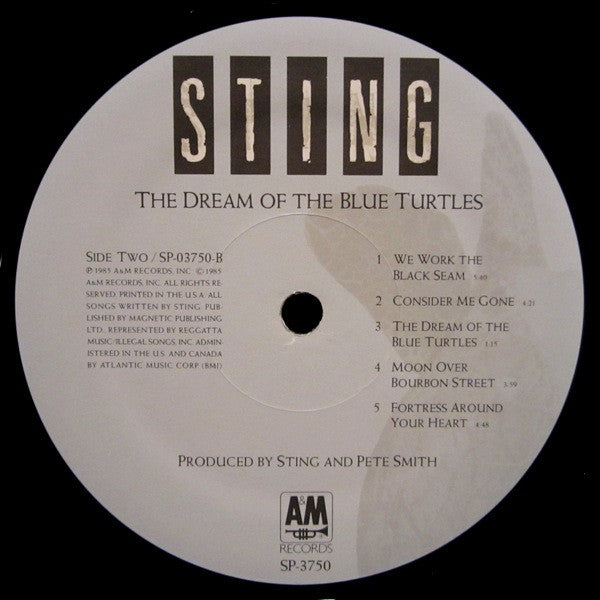 The Dream Of The Blue Turtles