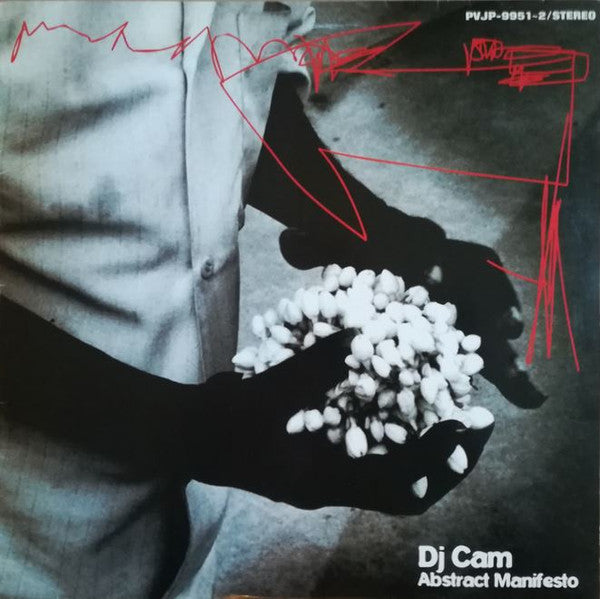Master Release: Abstract Manifesto by DJ Cam