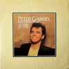 Peter Gabriel - Walk Through The Fire (Vinyl, 12