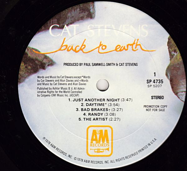 Back To Earth