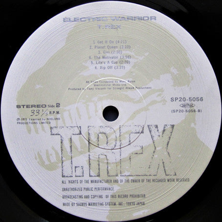 Electric Warrior