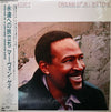 Marvin Gaye - Dream Of A Lifetime (Vinyl, LP, Album, Stereo)
