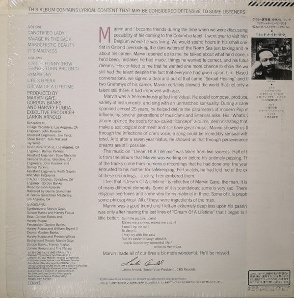 Master Release: Dream Of A Lifetime by Marvin Gaye