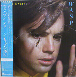Wasp