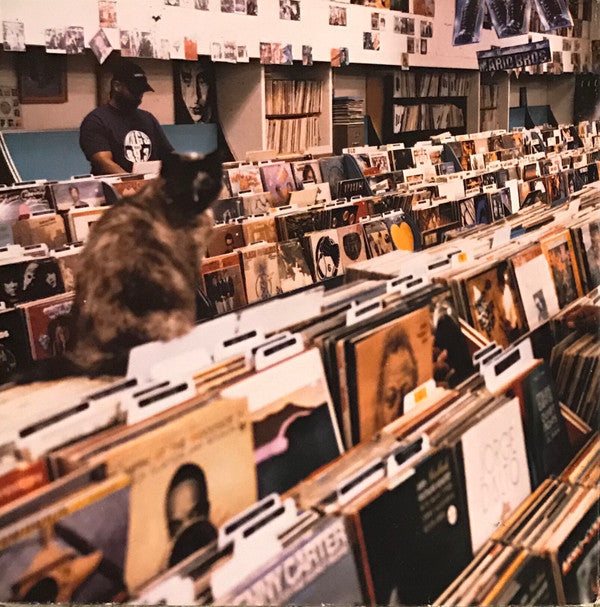 Master Release: Endtroducing..... by DJ Shadow