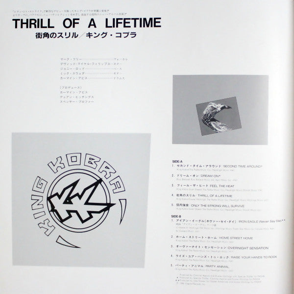 Thrill Of A Lifetime = 街角のスリル