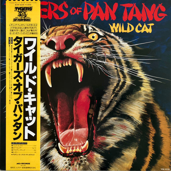 Wild Cat