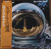Roy Buchanan - You're Not Alone (Vinyl, LP, Album, Stereo)