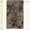 Eyeless In Gaza - Rust Red September (Vinyl, LP, Album) Very Good Plus (VG+) / Very Good (VG)